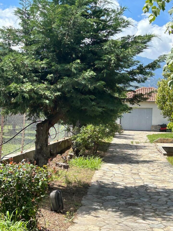 Zeusplace Karia Villa Natura Leptokarya  Esterno foto