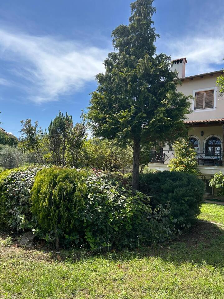 Zeusplace Karia Villa Natura Leptokarya  Esterno foto