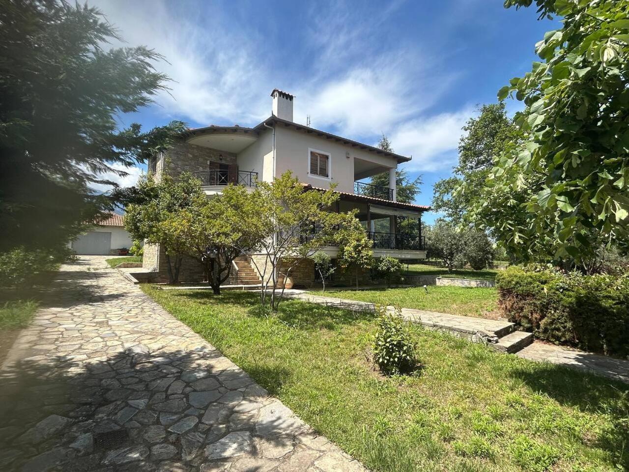 Zeusplace Karia Villa Natura Leptokarya  Esterno foto
